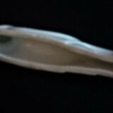 White porcelain knife holder the bird