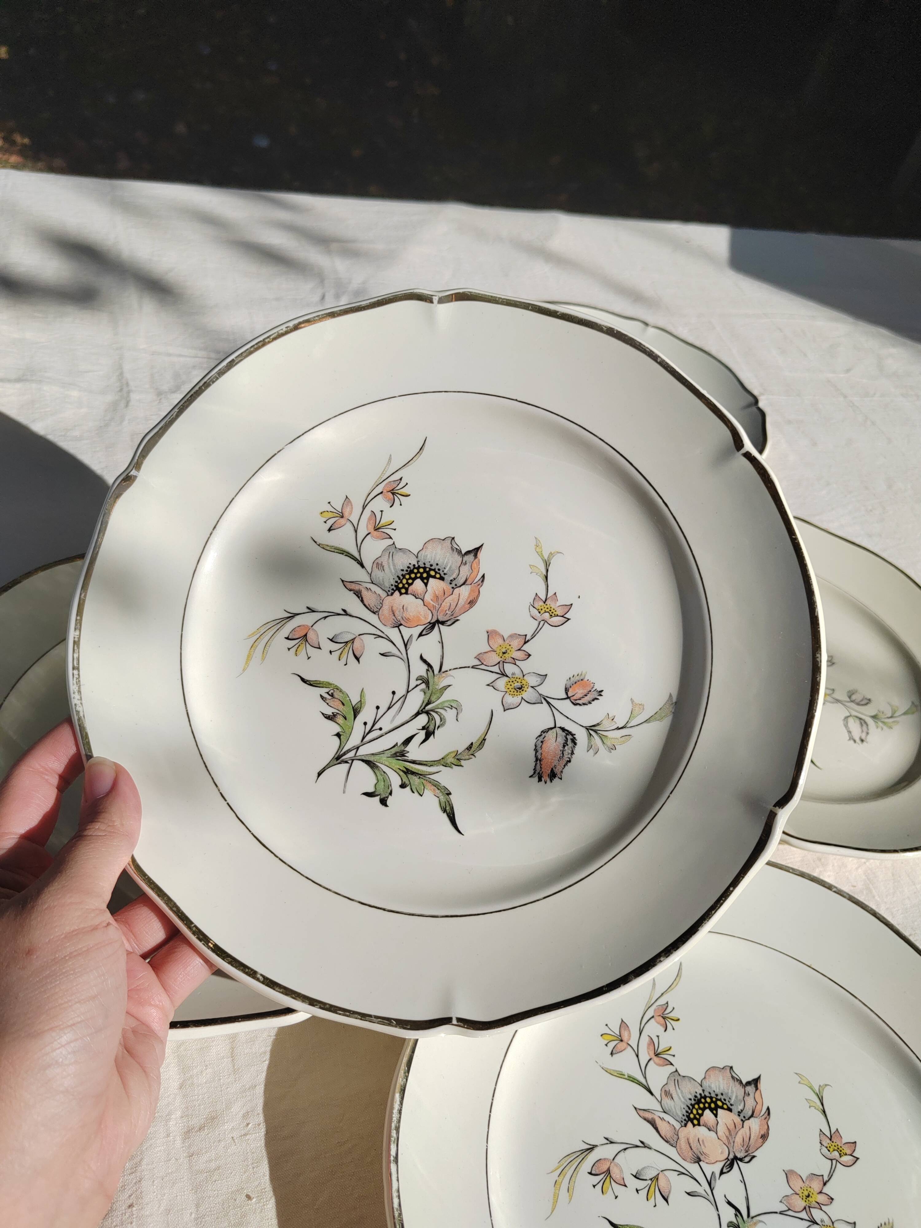 6 flat plates “Saverne” Saint Amand