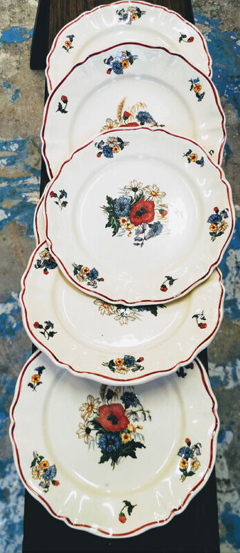 Lot of 6 dessert plates Sarreguemines model Agreste