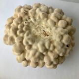 Big Pacific Pink Coral