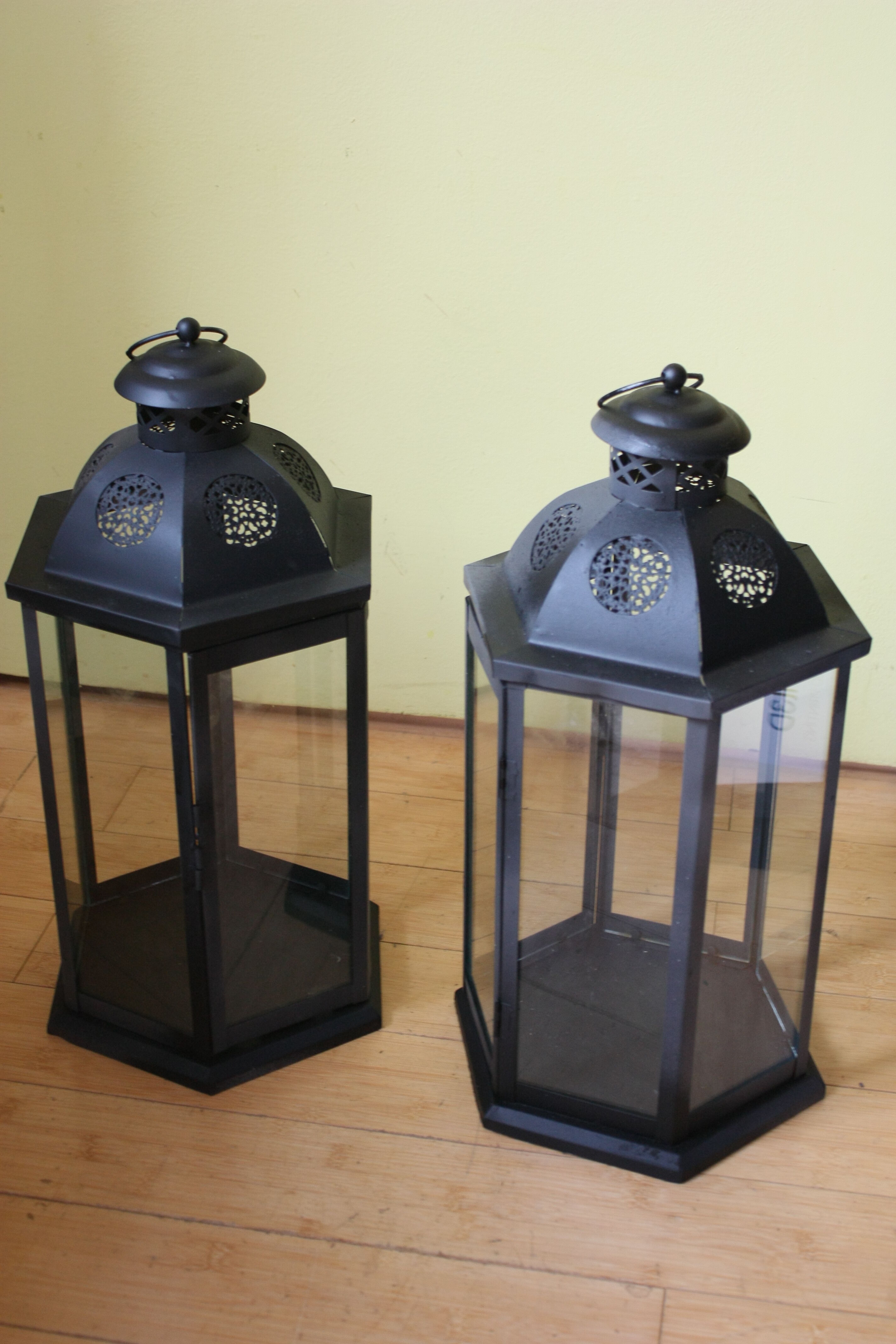 Two large photophores