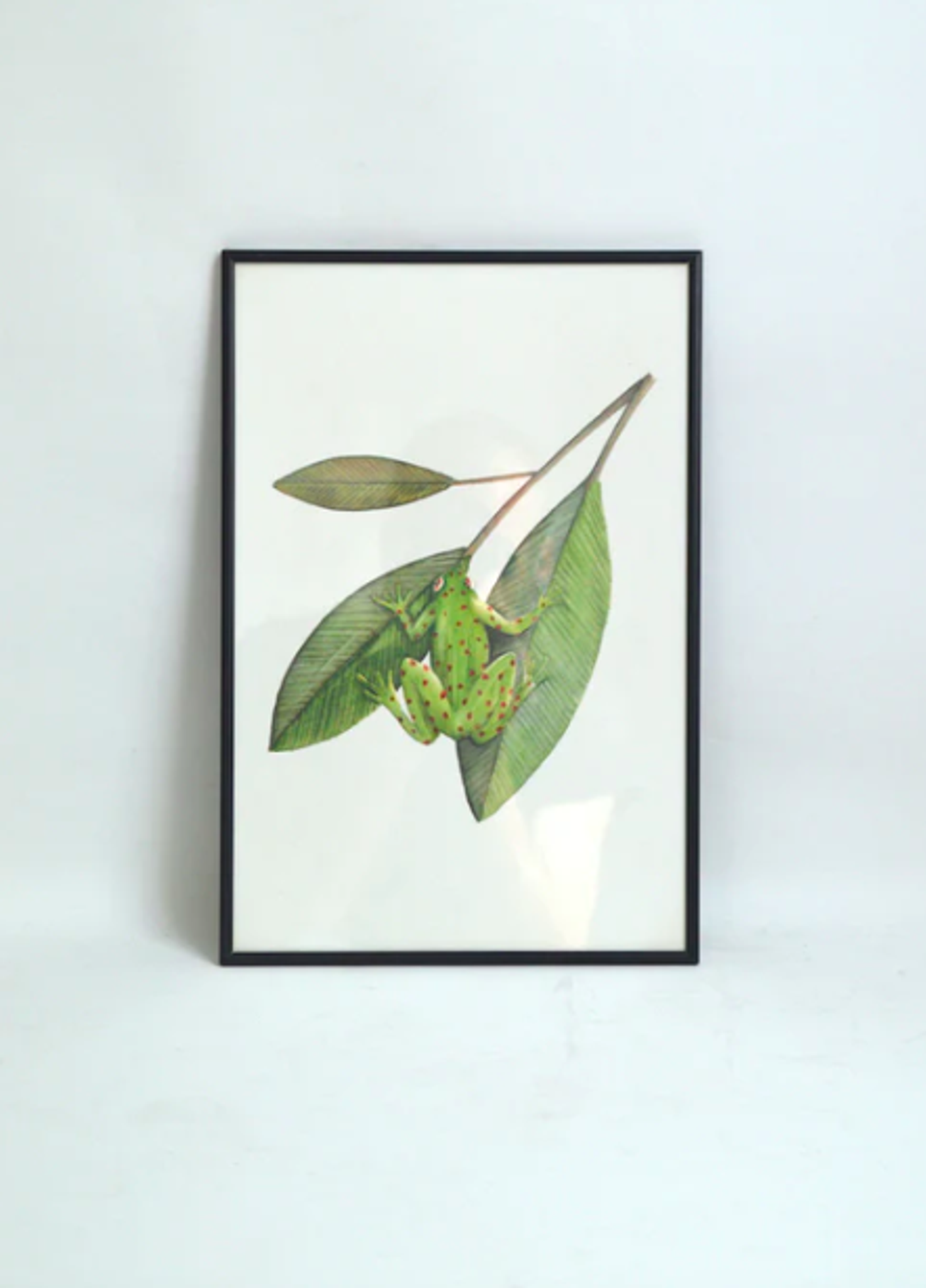 Illustration