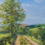 Daniel Thiers, Path on the Top of the Ark