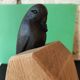Pair of sculpted oak bookends – The Crow and the Fox