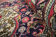 Tapis persan fait à la main en laine rouge 283x420cm