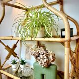 Rattan and glass shelf