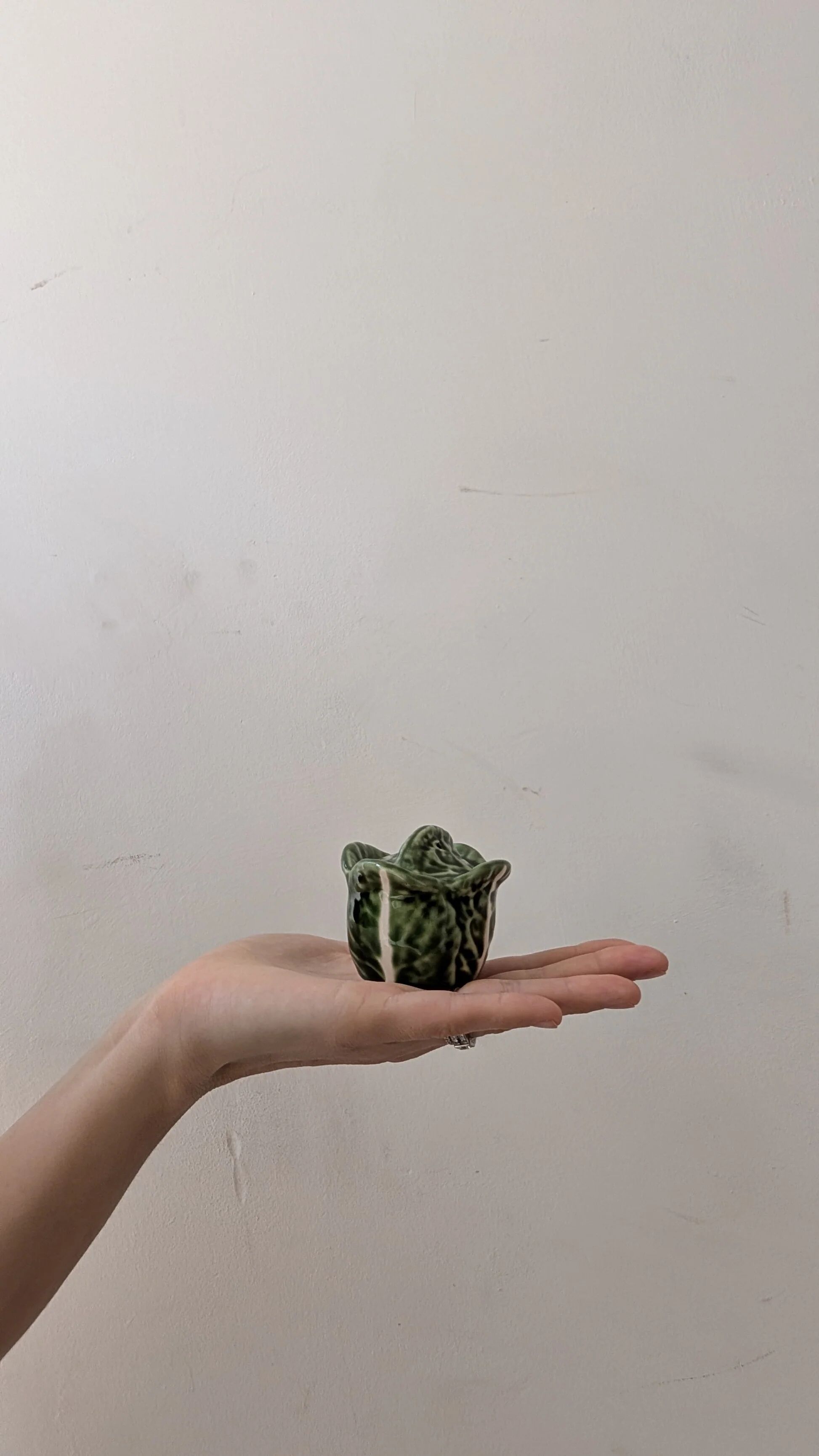 Cabbage-shaped salt shaker