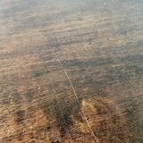 1900 lion paw pedestal table