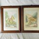 Pair of colorized mycological lithographs - Coprinus comatus, Psalliotta arvensis - 70s