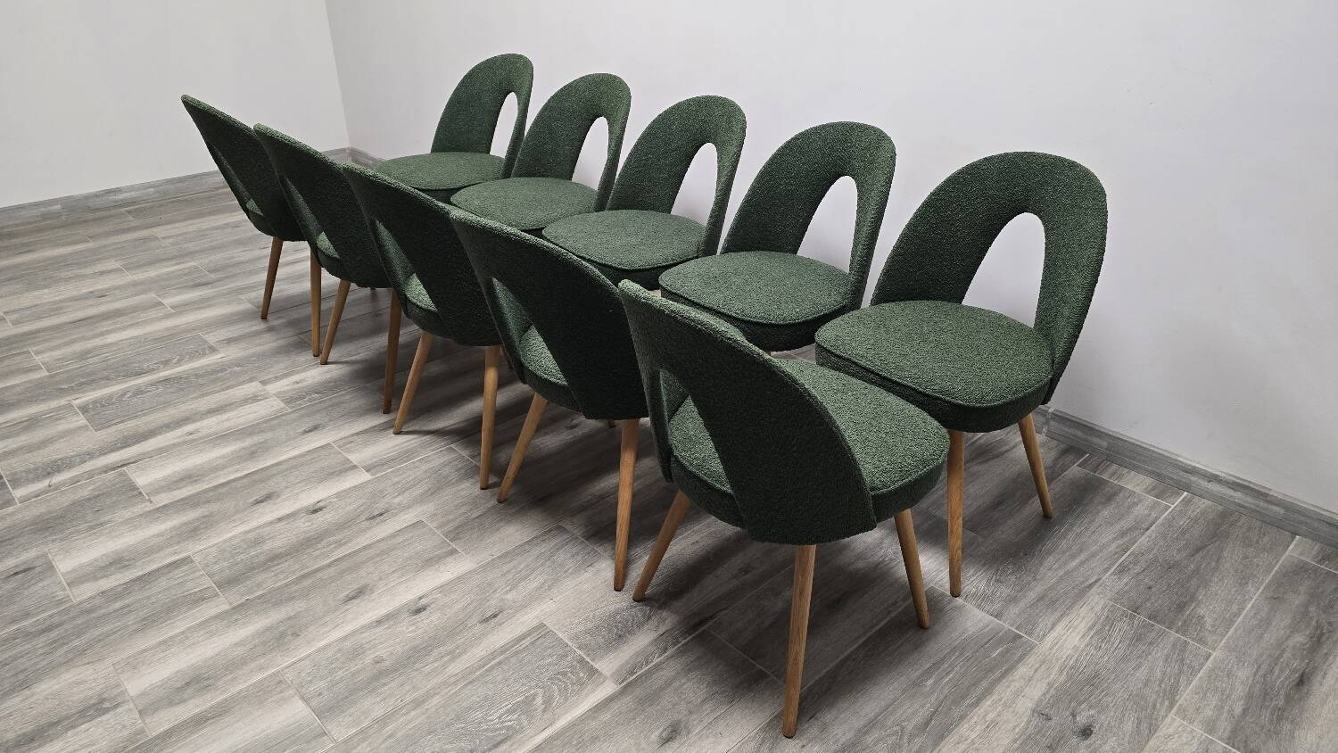 Dining Chairs by Antonin Suman, 1960s, Set of 10