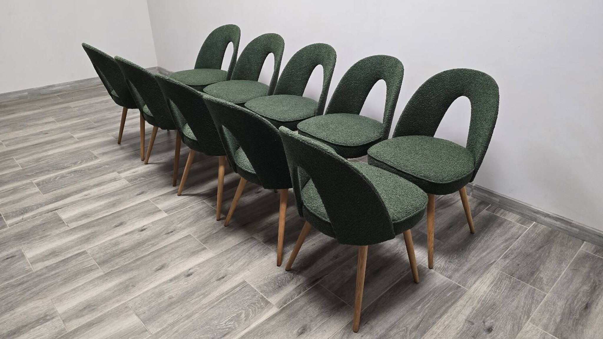 Dining Chairs by Antonin Suman, 1960s, Set of 10