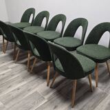 Dining Chairs by Antonin Suman, 1960s, Set of 10
