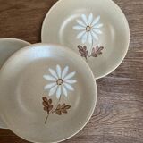 4 plates Autumn stoneware with daisy pattern