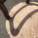 Louis-Philippe medallion chair from the 19th century in solid walnut.
