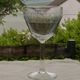 Set of 5 antique water glasses in engraved frieze glass.