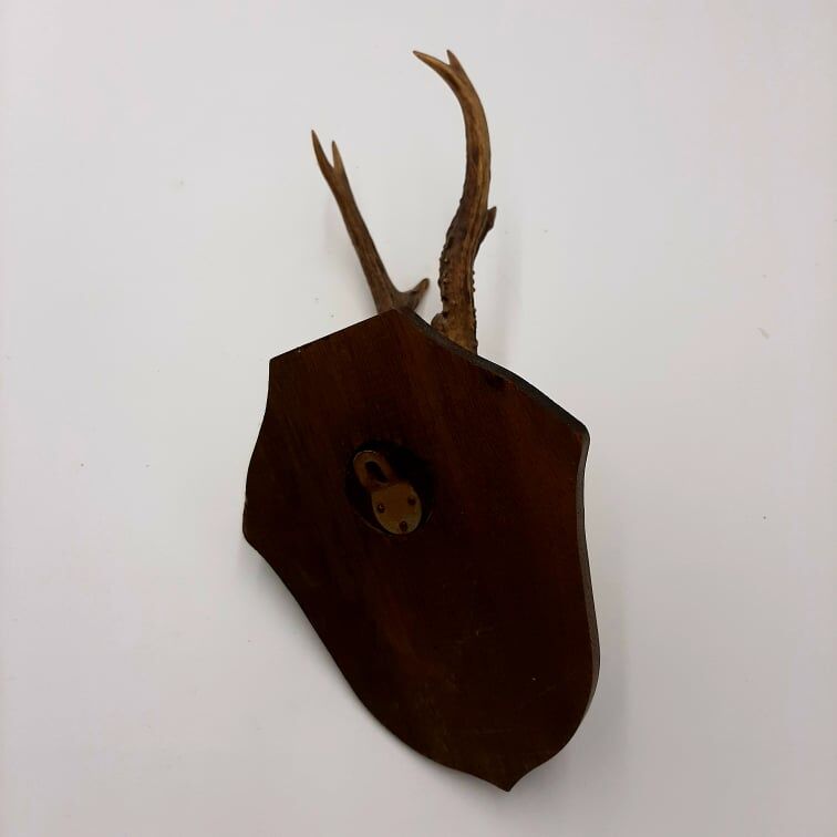 Deer massacre on crest