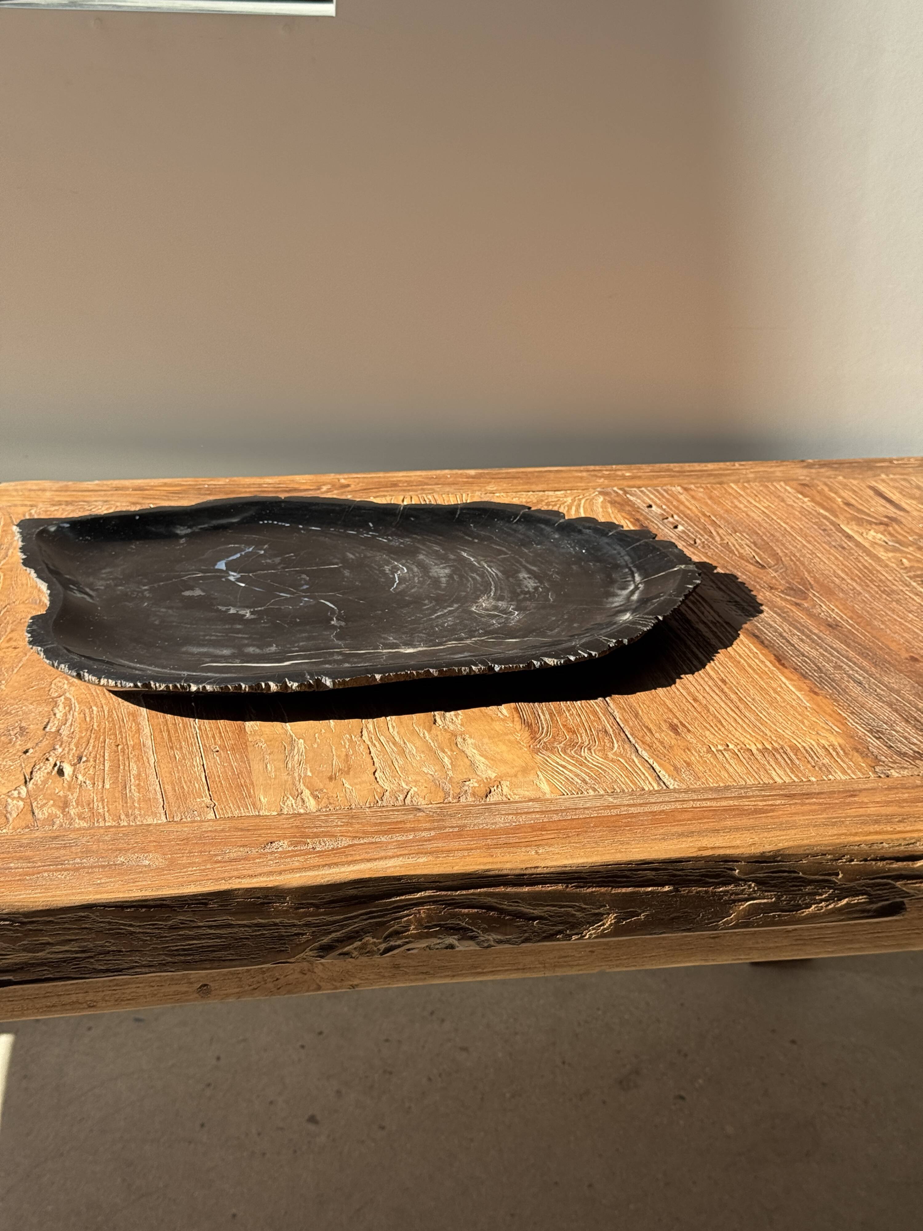 Very large black petrified wood tray or bowl D35
