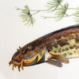 Plat poisson porcelaine