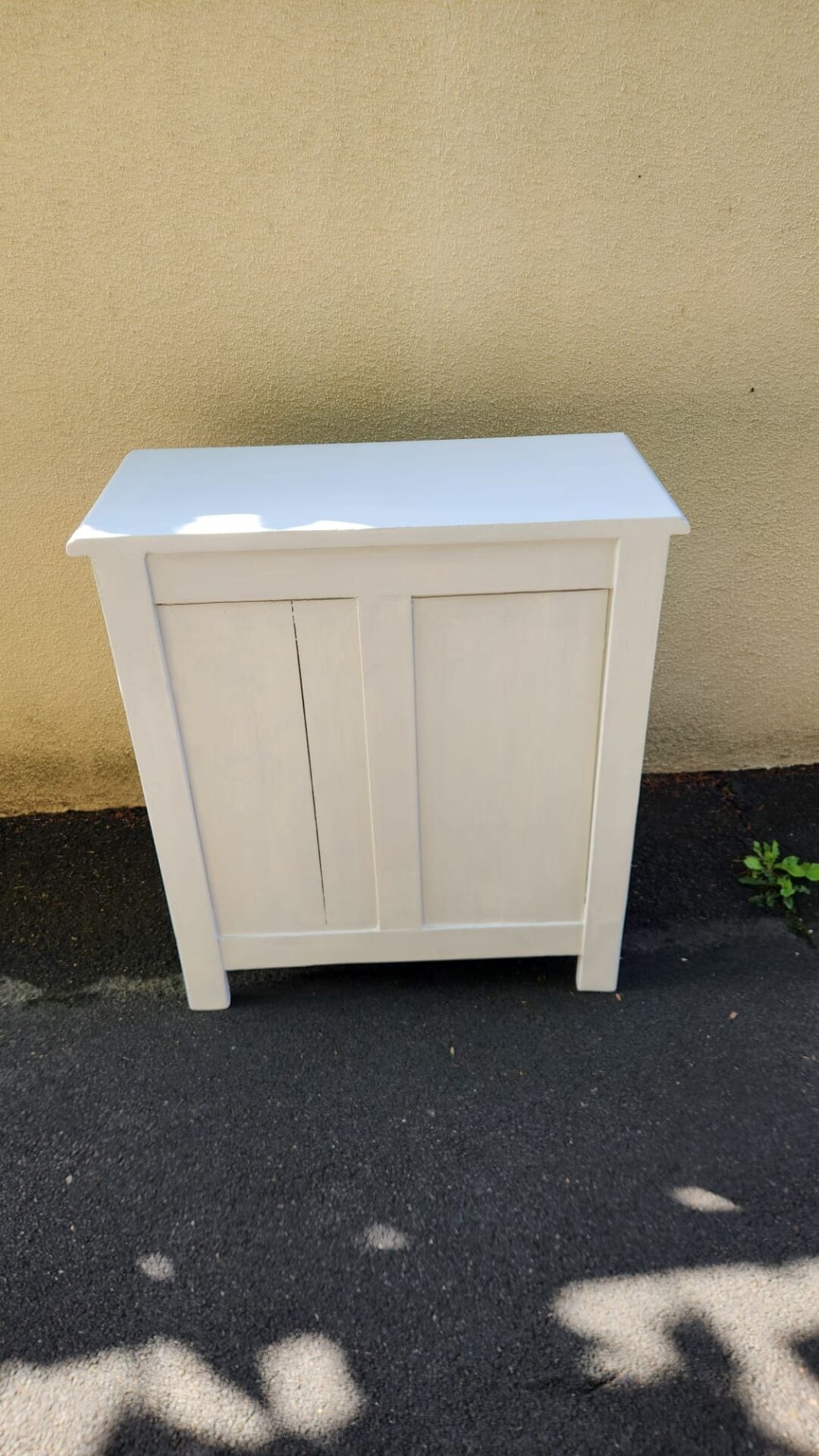 Très beau meuble parisien 2 portes en hêtre peint en gris très clair 1