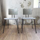 Paire de chaises Willy Van Der Meeren