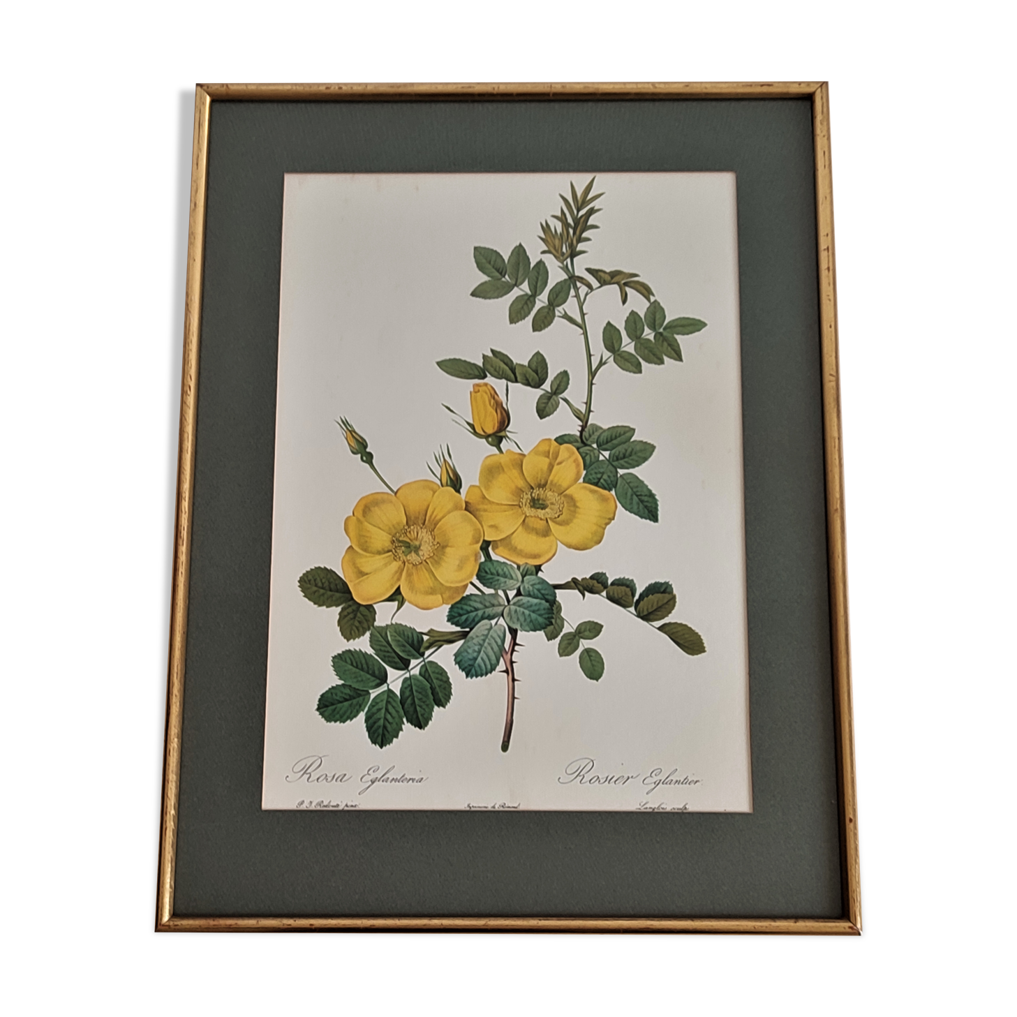 Dreaded Botanical Board