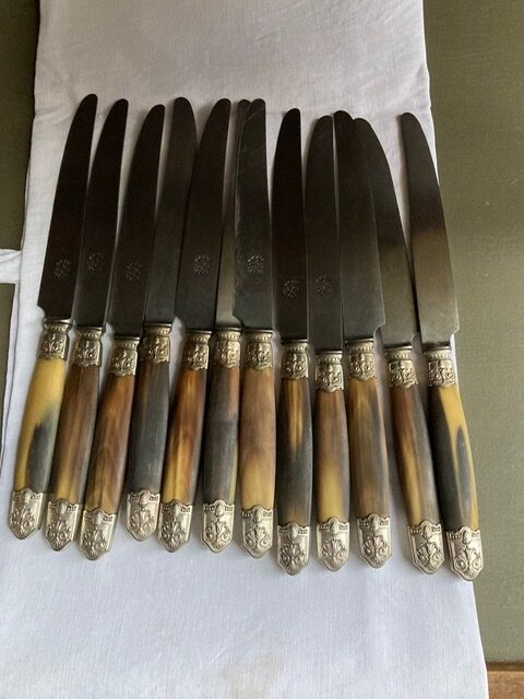 Lot of 12 horn handle knives