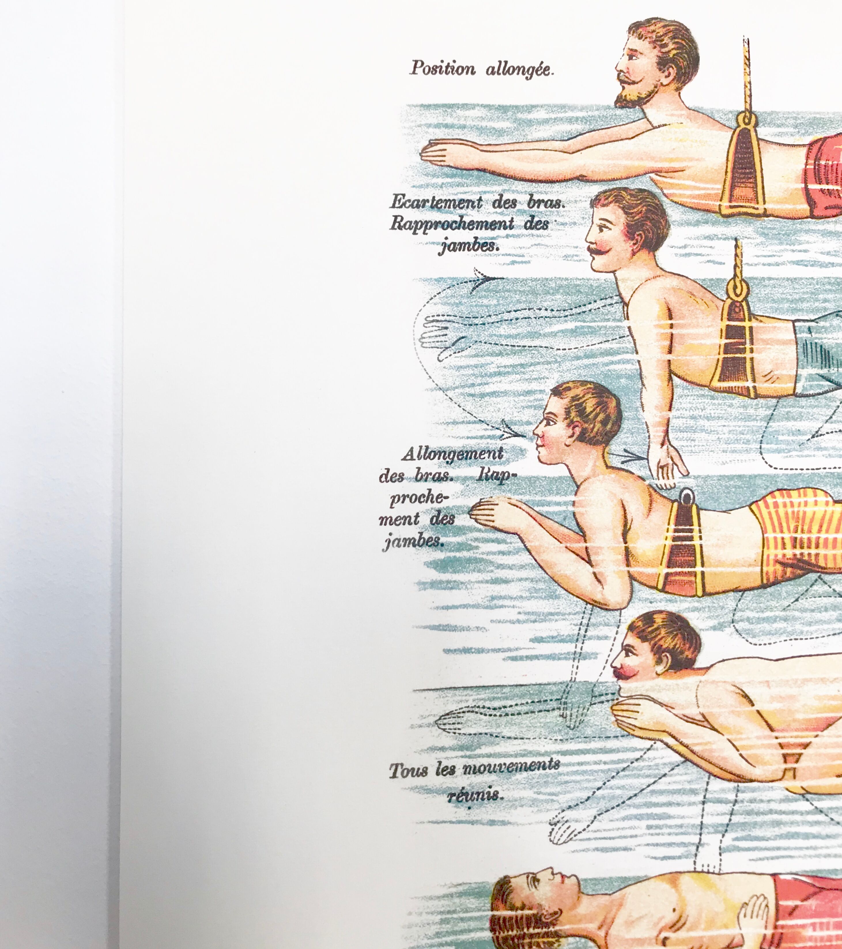 Poster in colors decomposing the movements of swimming