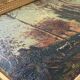 Huile sur toile XIX ème.