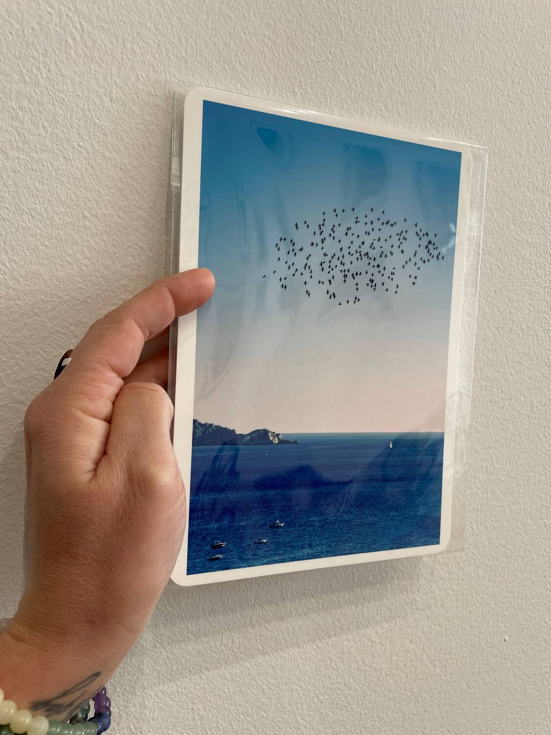 Photo Alice Ducheix - Gallery Zones