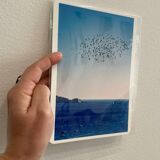 Photo Alice Ducheix - Gallery Zones
