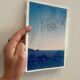 Photo Alice Ducheix - Gallery Zones