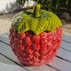 Raspberry slip pot