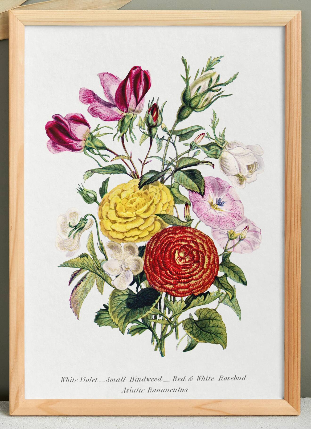 Poster about “Asian Buttercup and Garden Flowers”