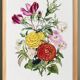 Affiche sur le “Renoncule d’Asie et fleurs de jardin"