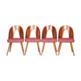 Four restored mid-century chairs, antonin suman, beech, walnut, czechia, 1950s