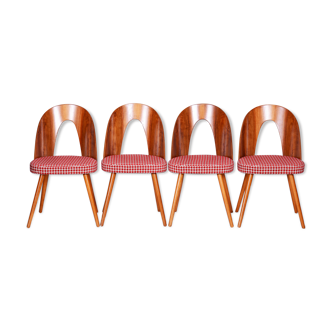 Four restored mid-century chairs, antonin suman, beech, walnut, czechia, 1950s