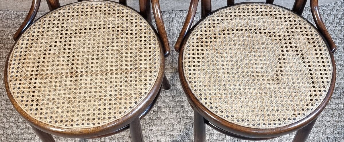 Pair of chairs bistrot Fischel n°18 of 1900 ca