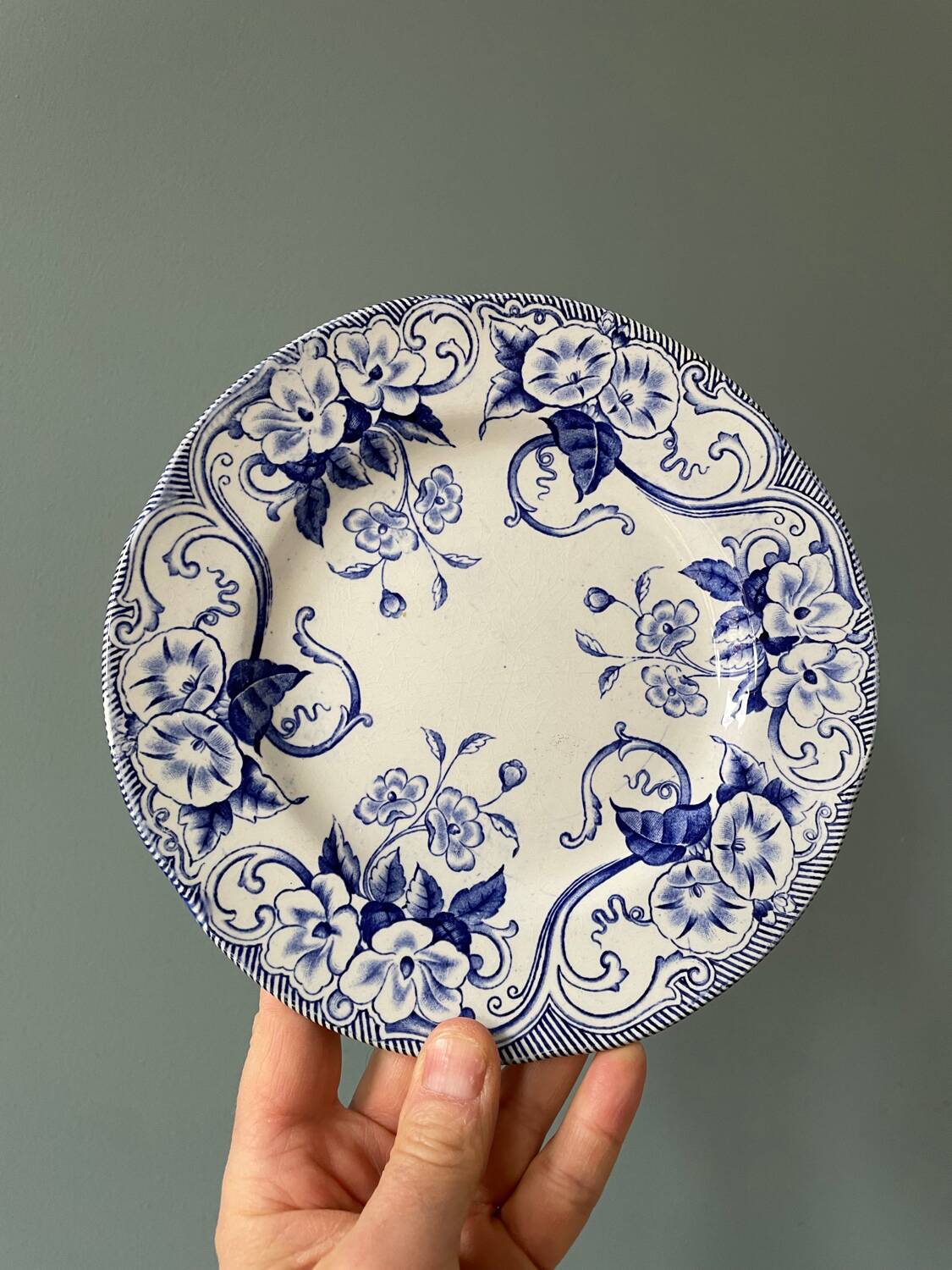 Series of 9 Creil Montereau plates, Flora model