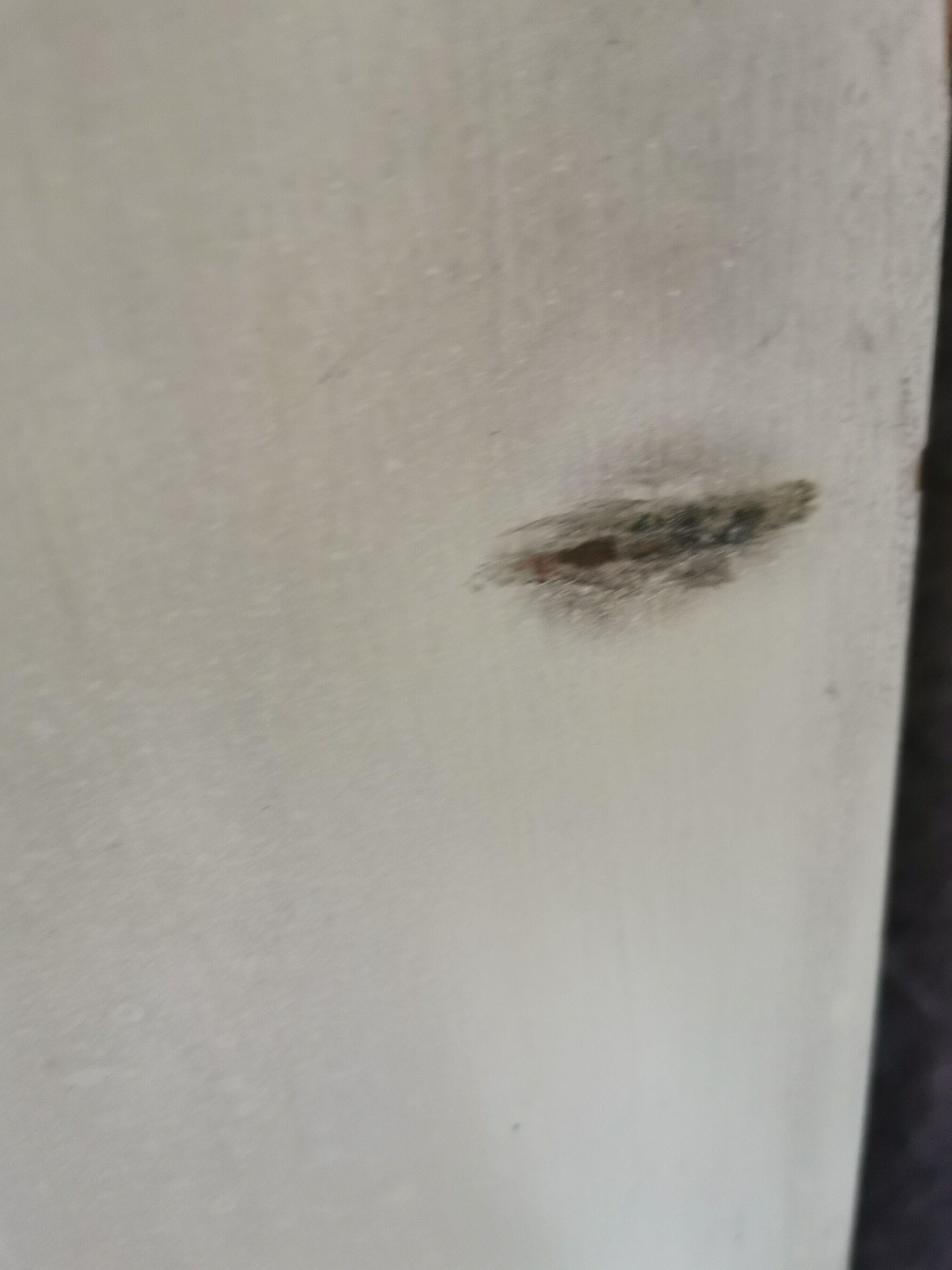 Wardrobe a vintage off-white door