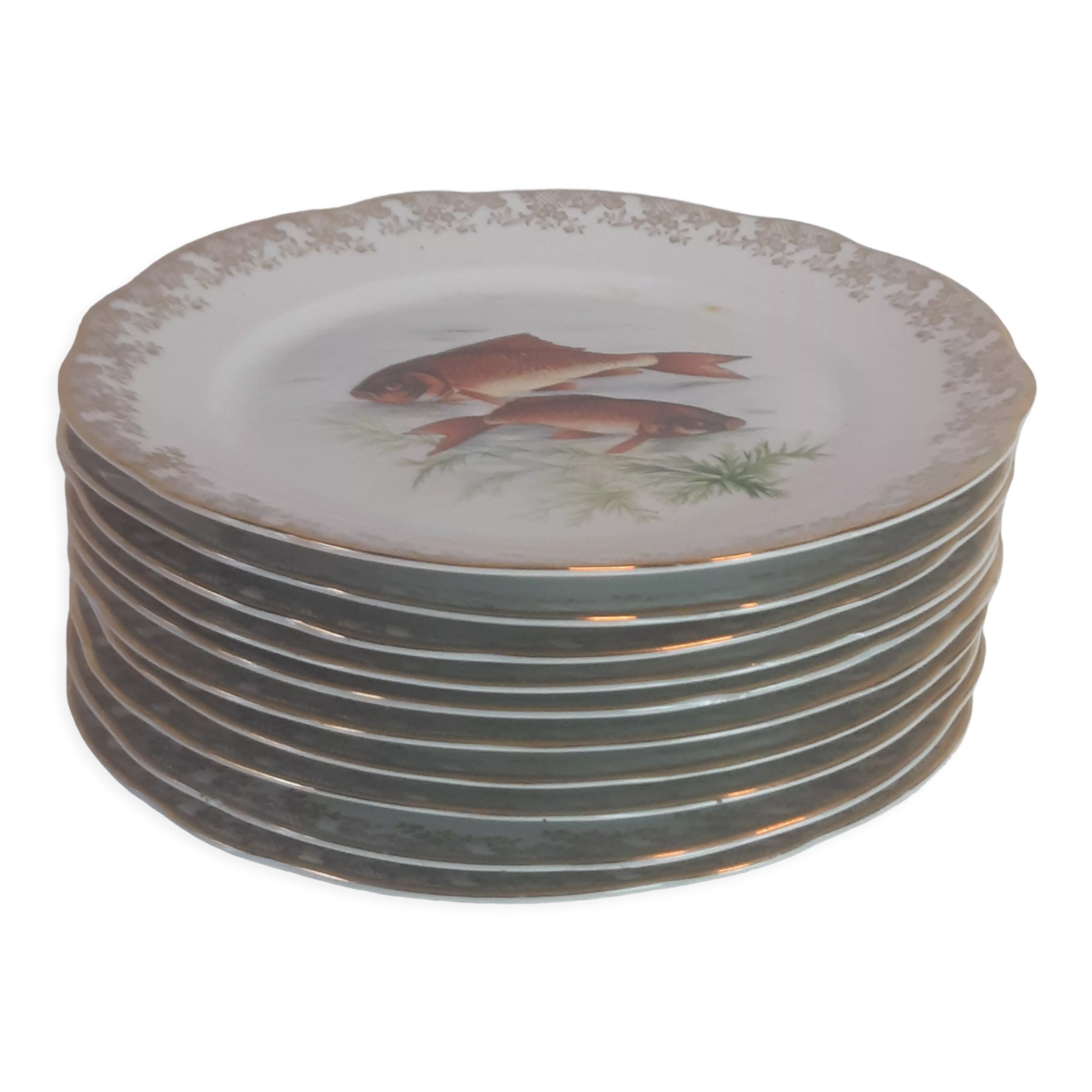 Lot of fish plates
