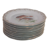 Lot of fish plates