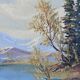 Peinture à l'huile sur toile de paysage vintage, encadrée
