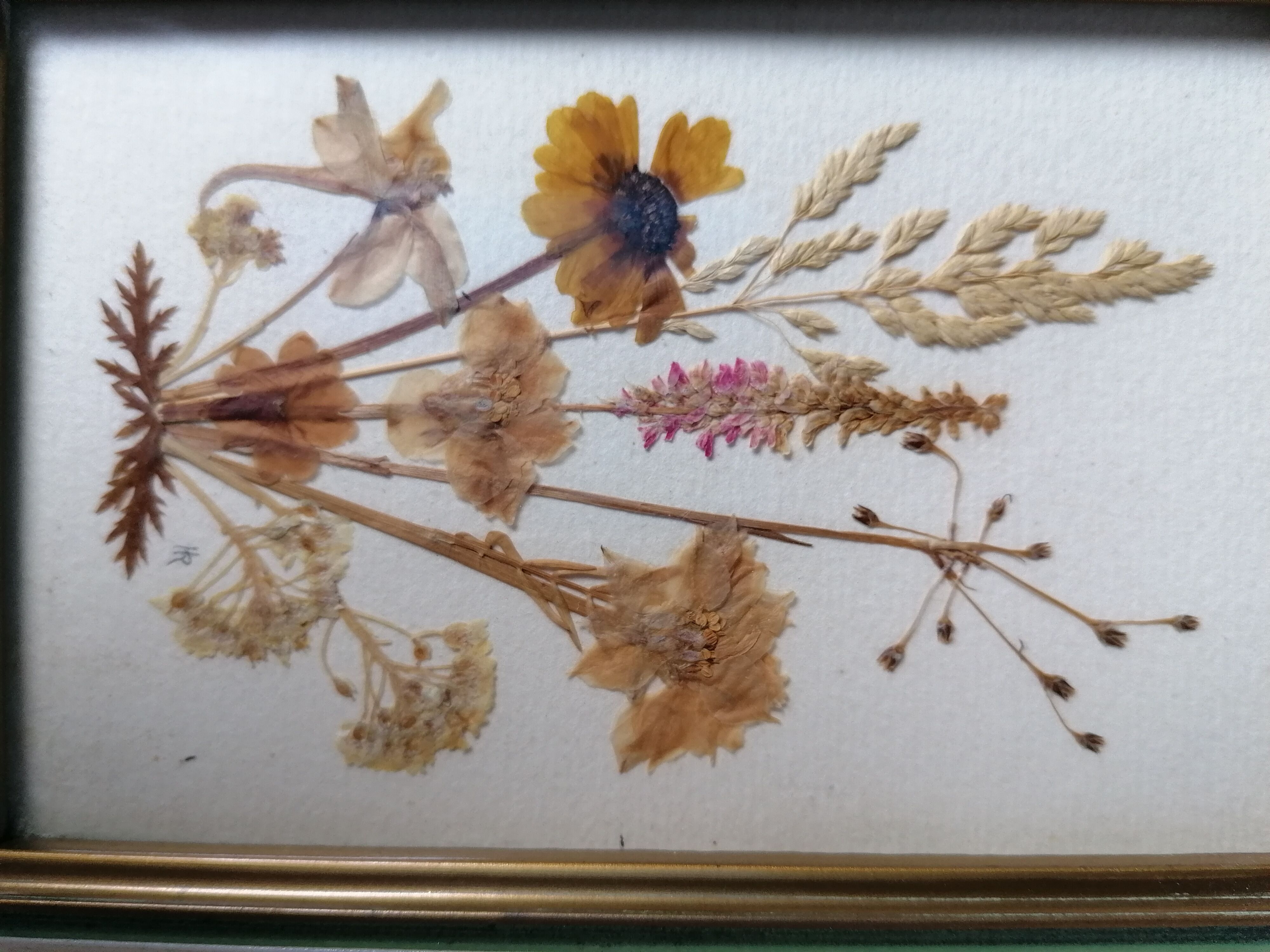 Herbier