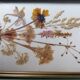 Herbier