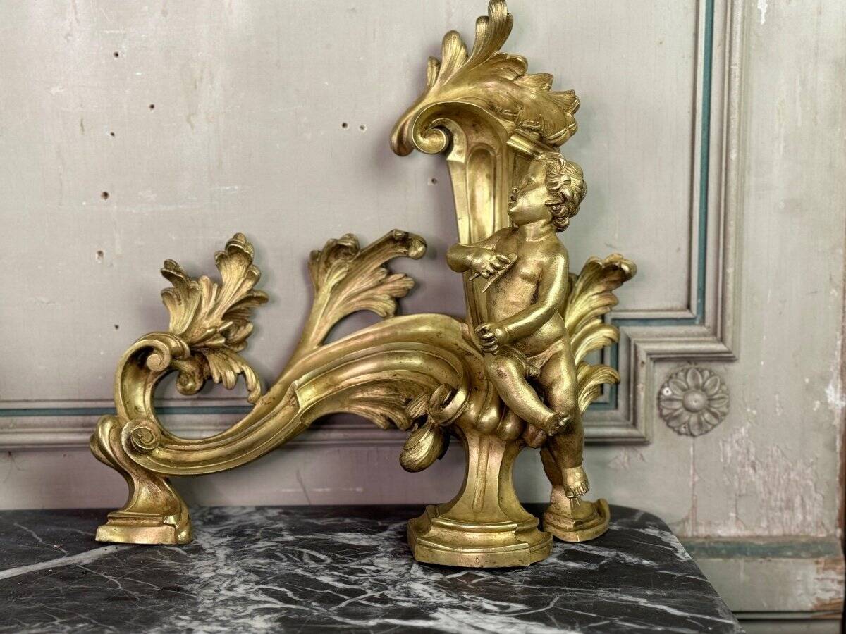 Paire de chenêts en bronze ciselé et doré d'après un modèle de Jacques Caffieri, Paris XIXème