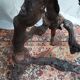 Brutalist bar stool made of vine wood