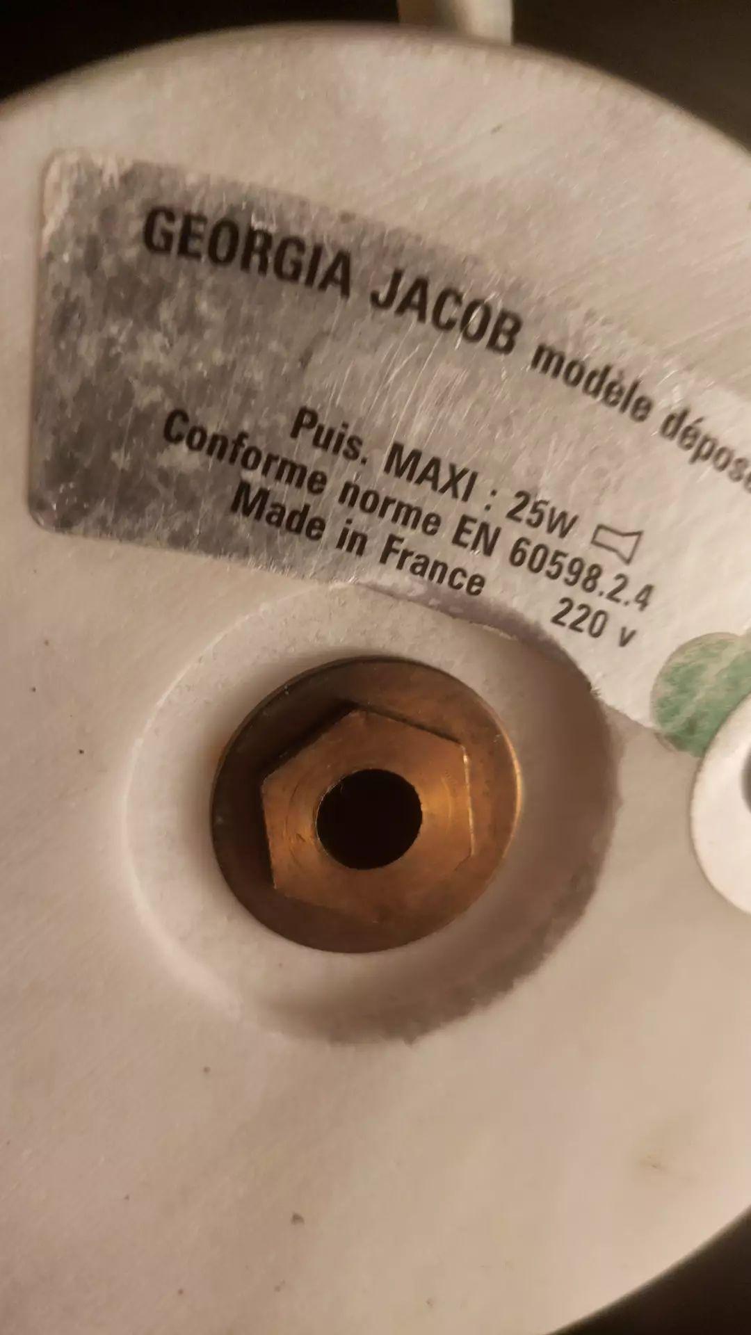 Corolla lamp by Georgia Jacob