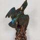 Stuffed and naturalized Kingbird Taxidermy