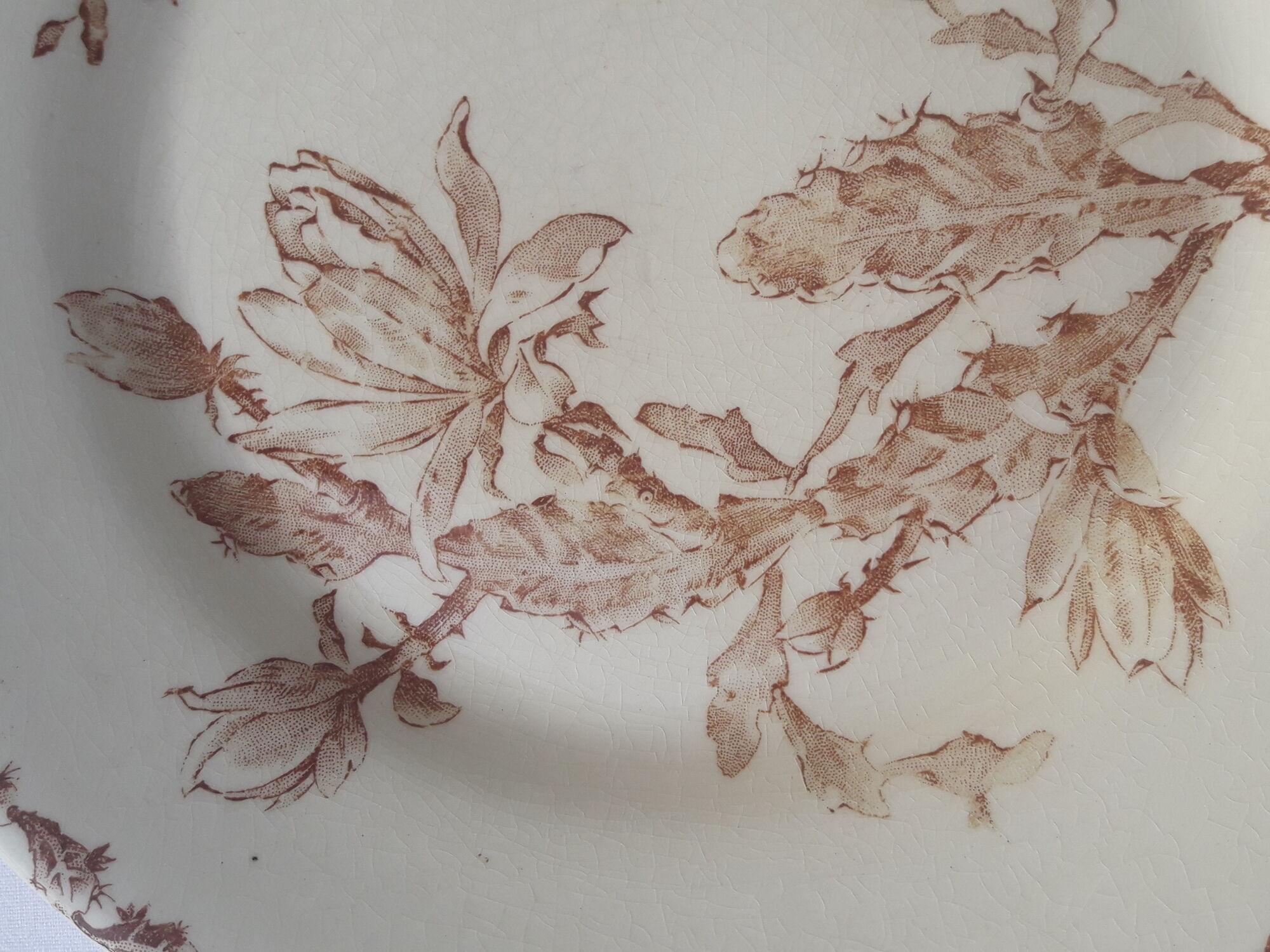 Gien model Cactus diam opaque porcelain plate 24 cm