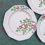 Iron earth dessert plates